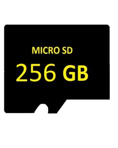 SD MICRO 256GB